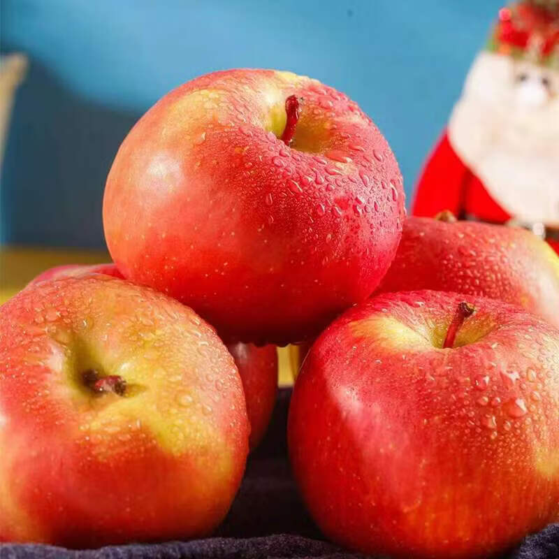 享佳恬正宗云南昭通樱桃小苹果新鲜脆甜冰糖心迷你苹果红富士整箱 净重3斤双网套60mm【新鲜采摘】
