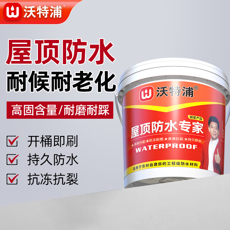沃特浦楼顶防水防漏材料耐高温抗裂胶屋顶房顶漏水补漏王漆裂缝专用涂料 水泥色2斤【抗冻防晒抗裂】单遍约刷2平 送工具