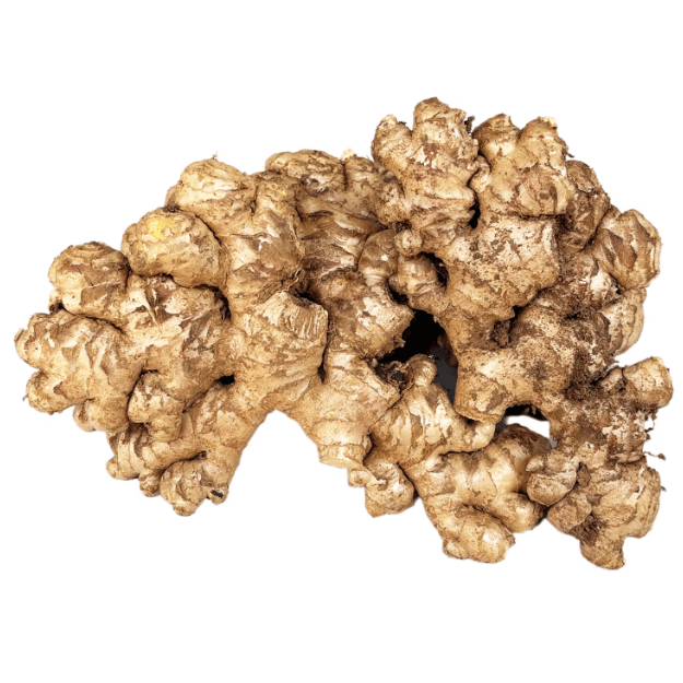 彩云之南文山高原小黄姜新鲜蔬菜辣妹生姜 云南文山小黄姜净重9斤