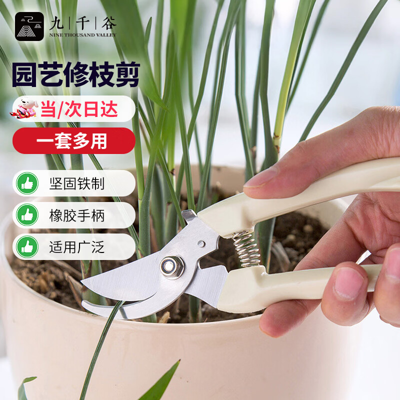 九千谷 园艺剪刀修枝剪刀 园艺工具花艺果树剪枝剪刀修树枝 米白色4108