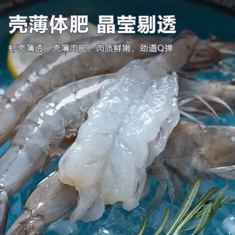 连海肴国产海捕大虾 青虾对虾白虾基围虾 鲜活冷冻超大虾类烧烤食材 气冻大虾 3斤(净重)  15-18cm【单冻 超大号】