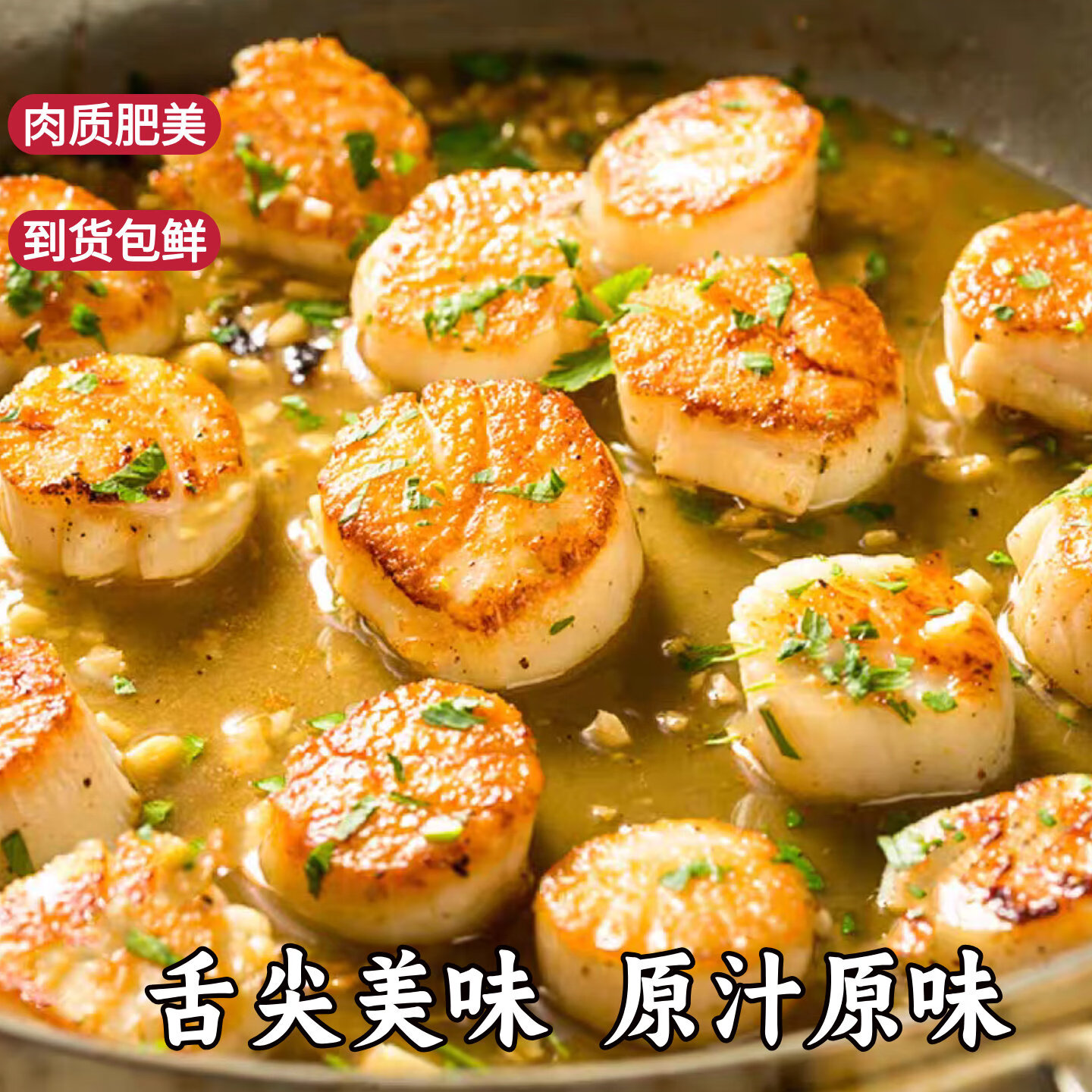 百库扇贝柱大号 瑶柱海鲜玉带烧烤火锅食材 大号扇贝柱 3斤(净重)  （40/60）