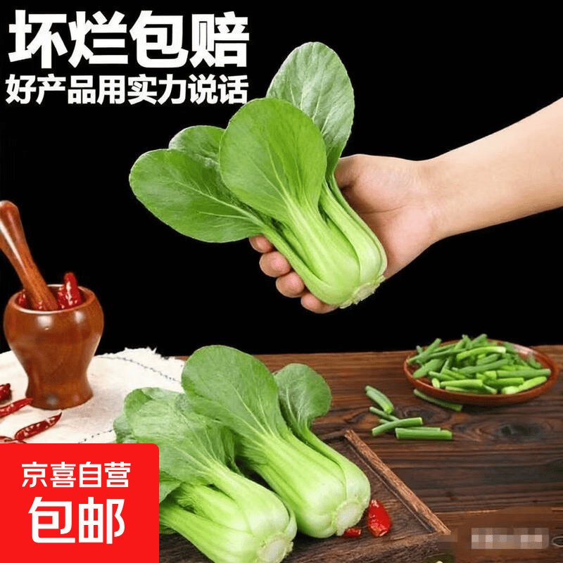上海青新鲜小油菜 现摘青菜 鲜嫩小白菜 农家自种蔬菜 当季时令青 1斤