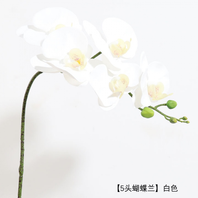 保湿假兰花假花仿真花蝴蝶兰塑料塑胶防真客厅装饰单支 5头蝴蝶兰白色