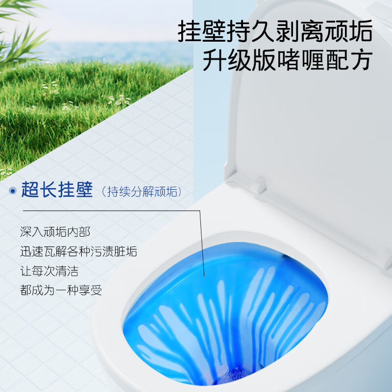 蓝漂洁厕灵马桶清洁剂卫生间厕所去臭味强效去除尿垢洁厕液-lwa 500g 3瓶