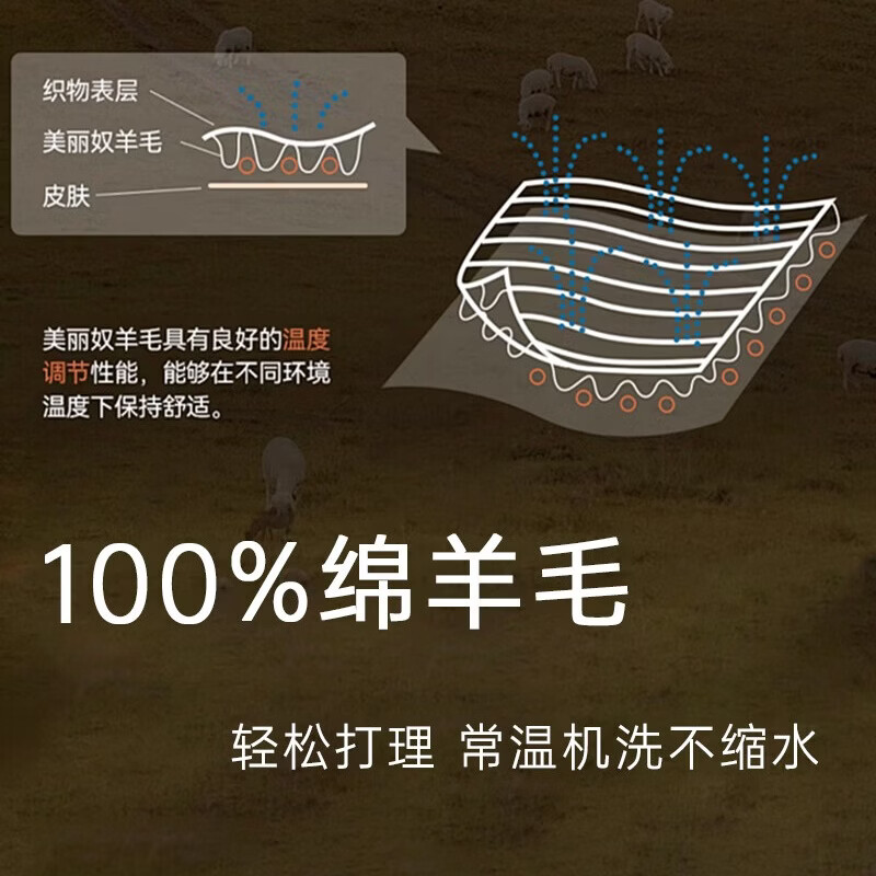 【鹦鹉梨严选】16.5微米超细美丽诺羊毛t恤女短袖100羊毛吸湿排汗 暖云白 M