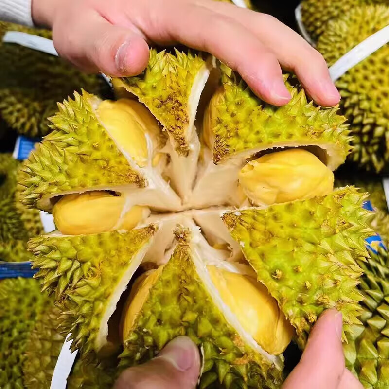 泰国进口精品榴莲金枕鲜果软糯香甜核小肉多正 【巴掌小榴莲】单果1.5-2斤(保3