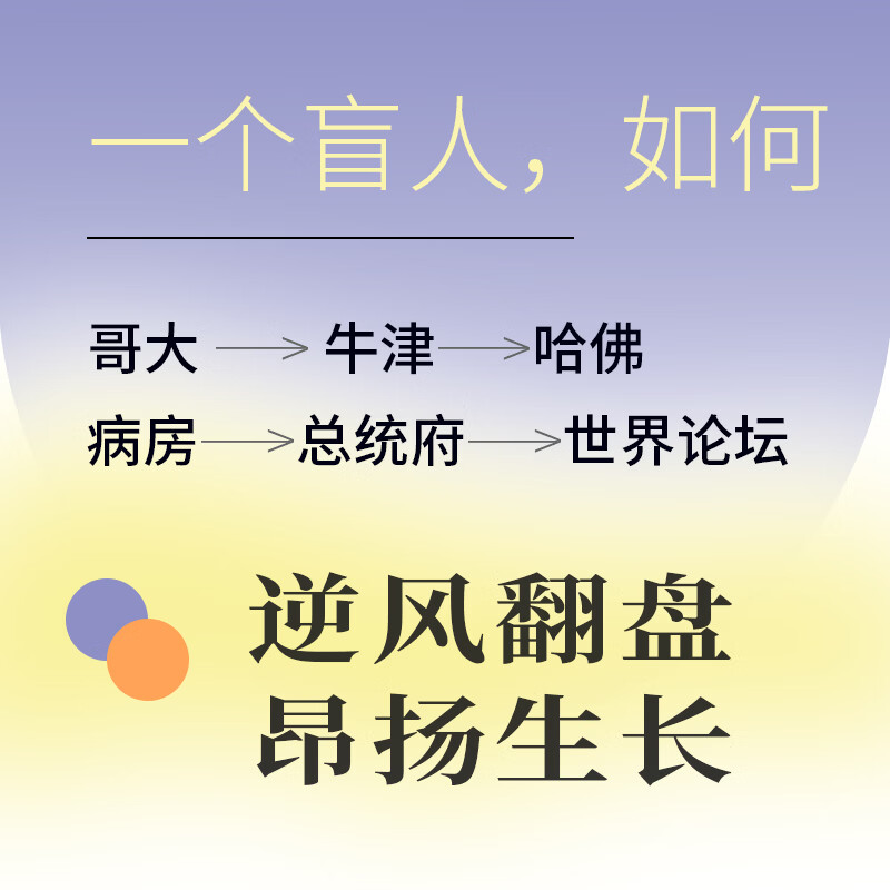 看见：一个盲人从哥大到白宫的光明征程 19 岁失明 6 次手术 牛津哈佛院士 金斯伯格阿特伍德作序 励志成长书籍