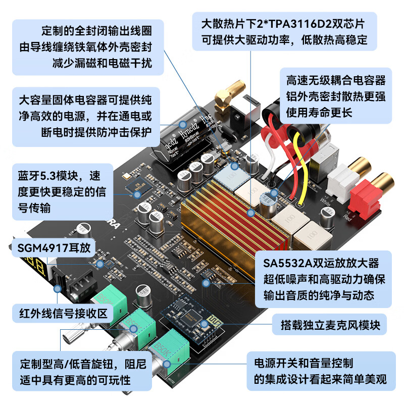 雷翼(RAYEE）5.3蓝牙功放机100W*2大功率立体声迷你家用数字功率放大器话筒唱歌无损U盘播放高低音调节 【蓝牙5.3】配24V5A电源+双话筒