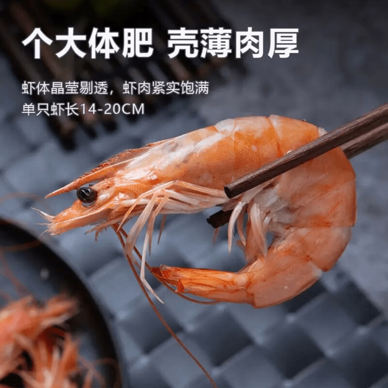 连海肴国产海捕大虾 青虾对虾白虾基围虾 鲜活冷冻超大虾类烧烤食材 气冻大虾 3斤(净重)  15-18cm【单冻 超大号】