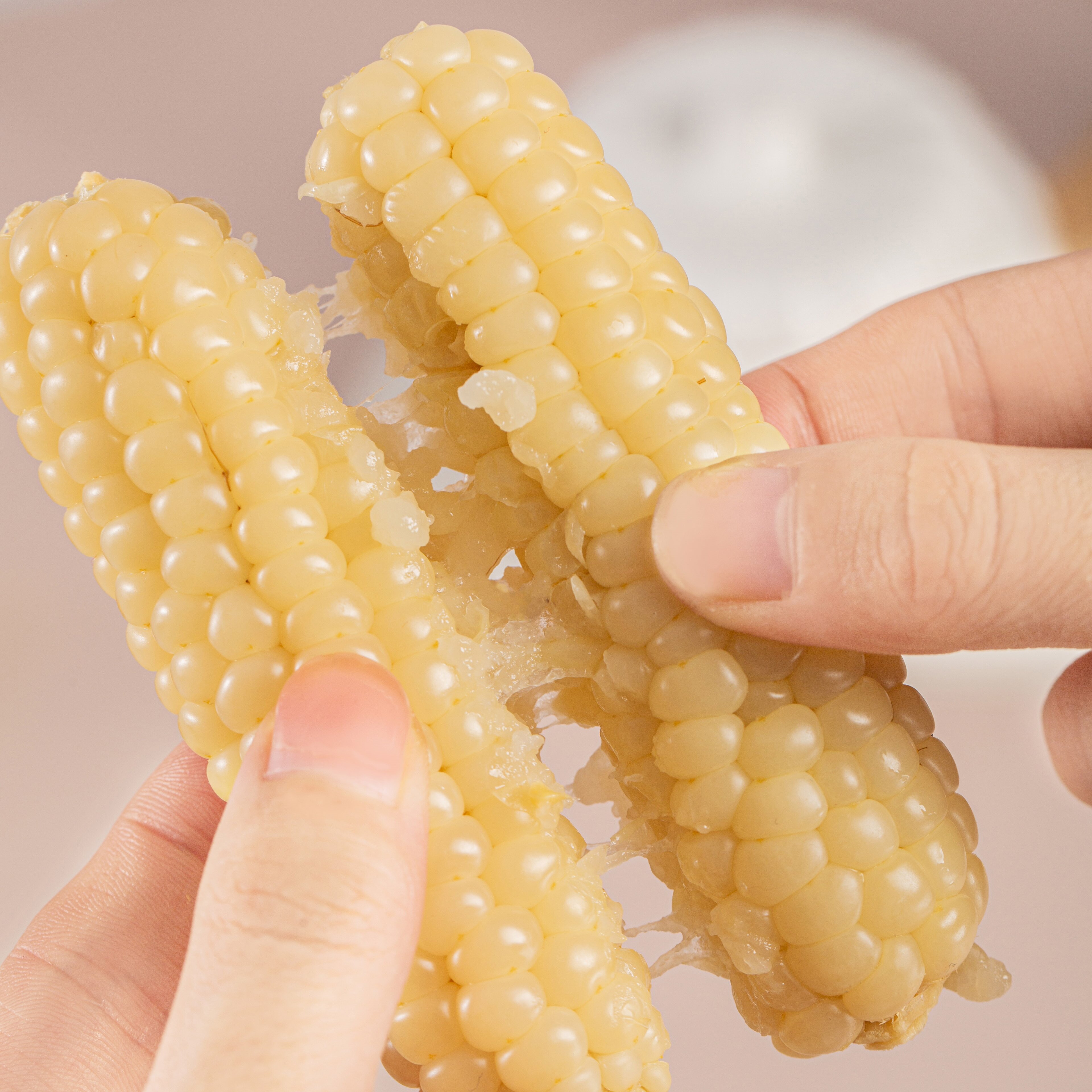 彩云之南西双版纳白拇指小玉米自然生长新鲜现摘现发燕麦真空包装 白拇指小玉米500克/袋 （普通箱）