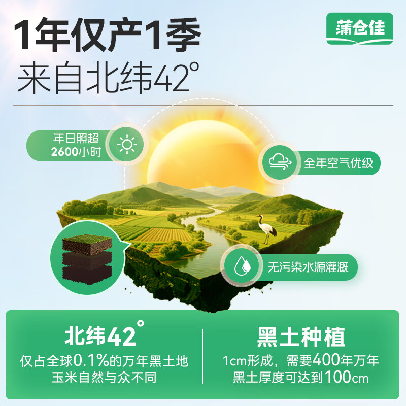 蒲仓佳东北黄糯玉米 头茬苞米软糯拉丝低脂早餐代餐真空锁鲜  【家庭装】甜糯玉米4.2斤（约7-10根）