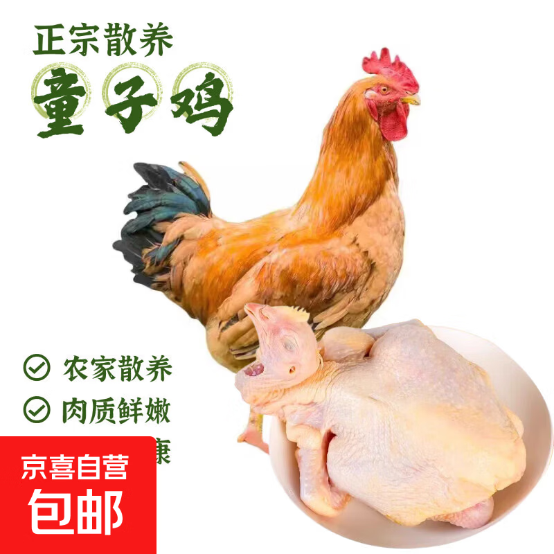 聚天然散养童子鸡正宗现杀未打鸣童子鸡小公鸡母鸡走地鸡新鲜鸡肉 农家散养童子鸡【2只装】（1.1斤-1.3斤/只）