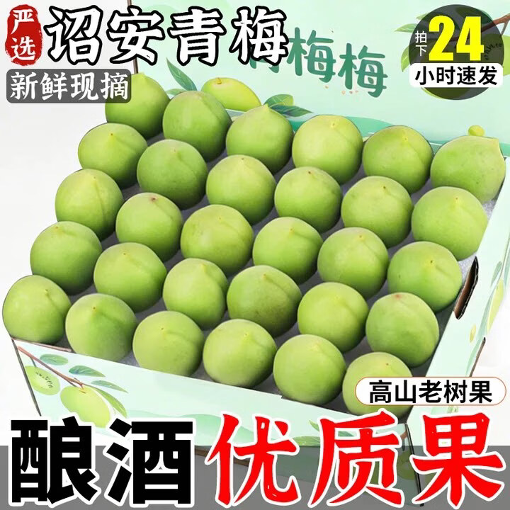 粤迎福建诏安青梅【闪送-多地次日达】鲜果酸脆新鲜泡酒梅酵素青梅子 4斤S+级商超果【酸爽多汁】净3.0斤