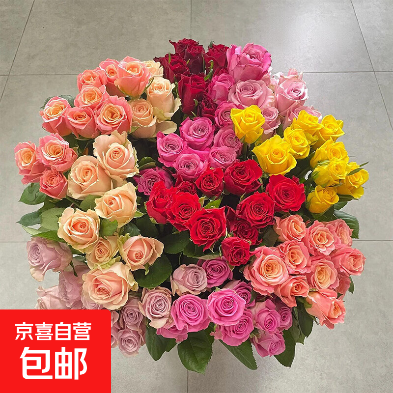 【方德玫瑰】云南鲜花玫瑰花鲜切水养38妇女节女神节生日礼物 方德35-40cm随机玫瑰10支