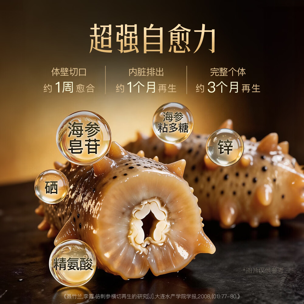 黑骑仕 鲜蒸海参【胡兵推荐】黑骑仕鲜蒸海参17g双周套餐滋补品大连辽参 【双口味套餐-好礼加赠】17g*14支（7+7）