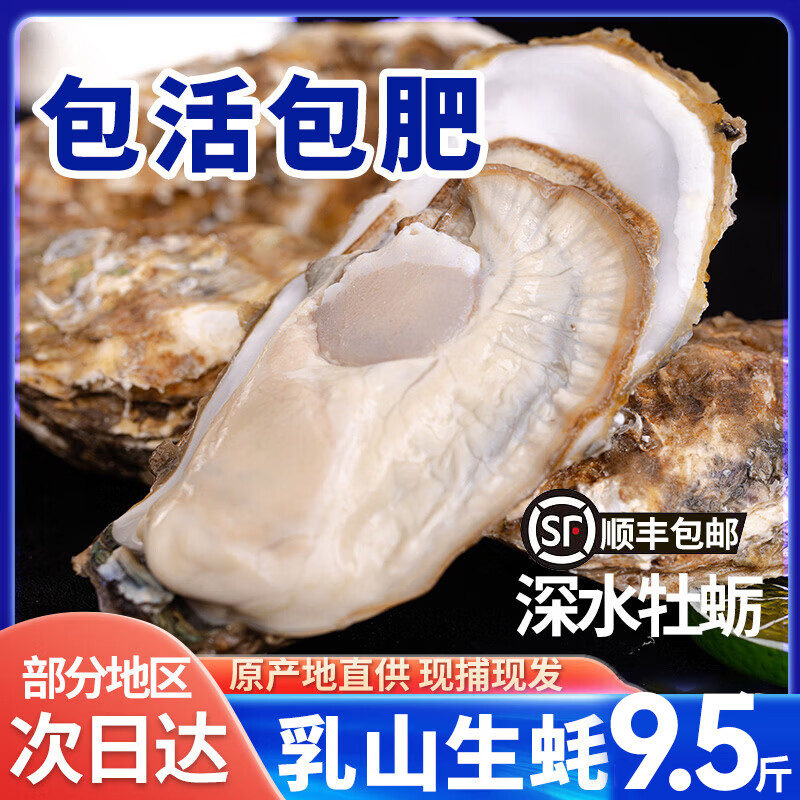 鲜活乳山生蚝新鲜正宗乳山牡蛎海蛎子牡蛎海鲜贝类净重5斤/9.5斤 5XL特大蚝(6-12只)净重5斤