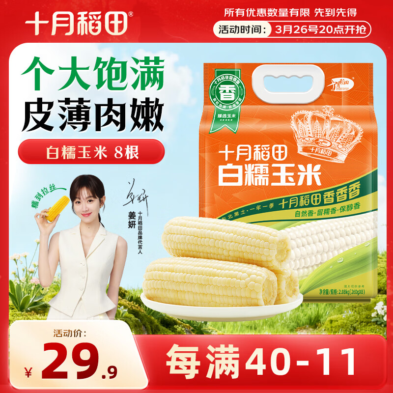 十月稻田 白糯玉米 8根 4.16斤 东北甜粘玉米 非转基因 低脂早餐
