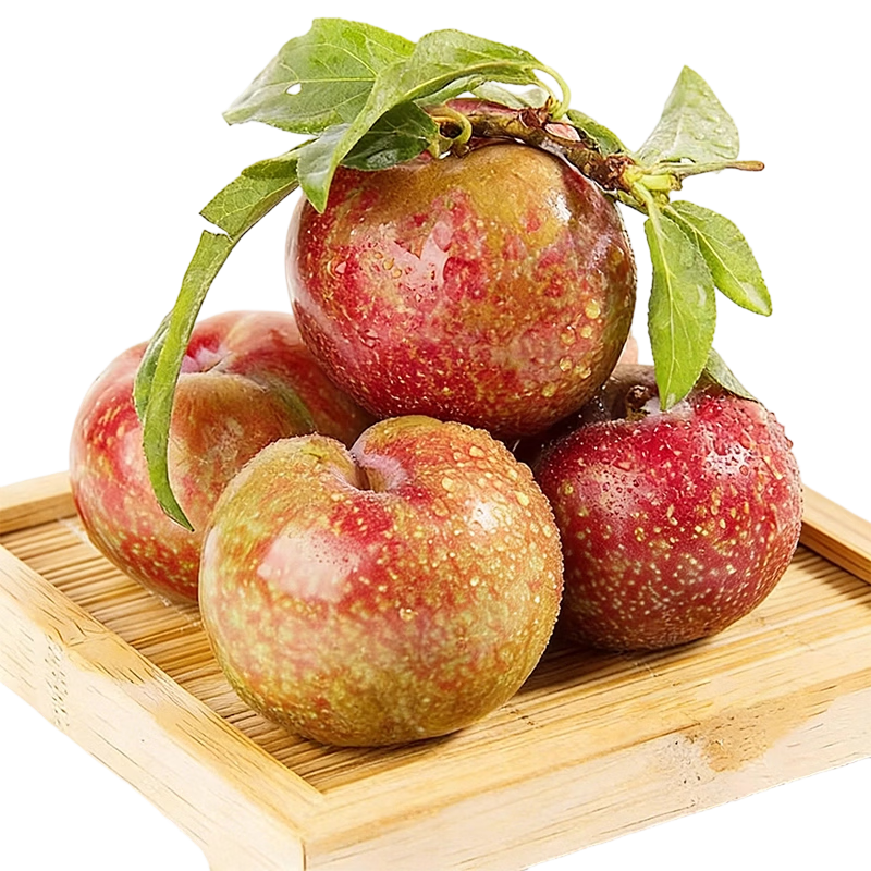 ���ڲ��������ٹ㶫ï��Ǯ��������������2�ﵥ��30g+�������Դͷˮ��ֱ�� 59.9Ԫ