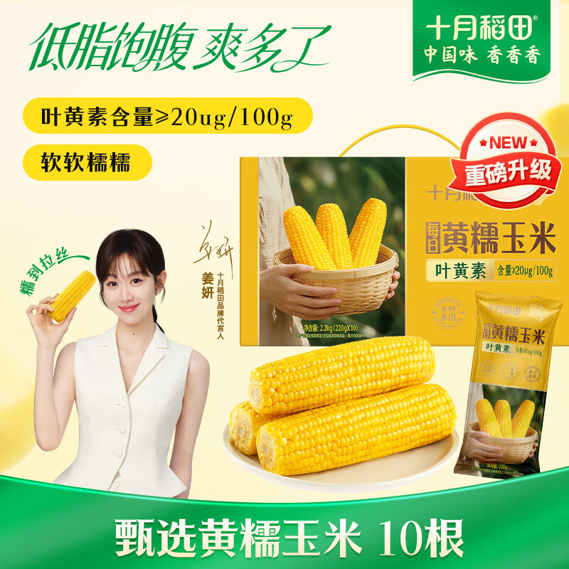 十月稻田 黄甜糯玉米 10根 4.4斤 东北甜黏玉米棒 杂粮礼盒 早餐苞米