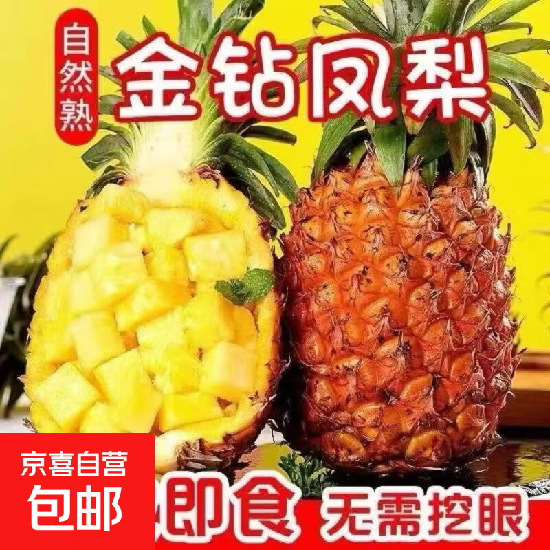 爆甜金钻凤梨新鲜现摘应季水果孕妇手撕无眼香甜多汁水果 1粒装 单果500克