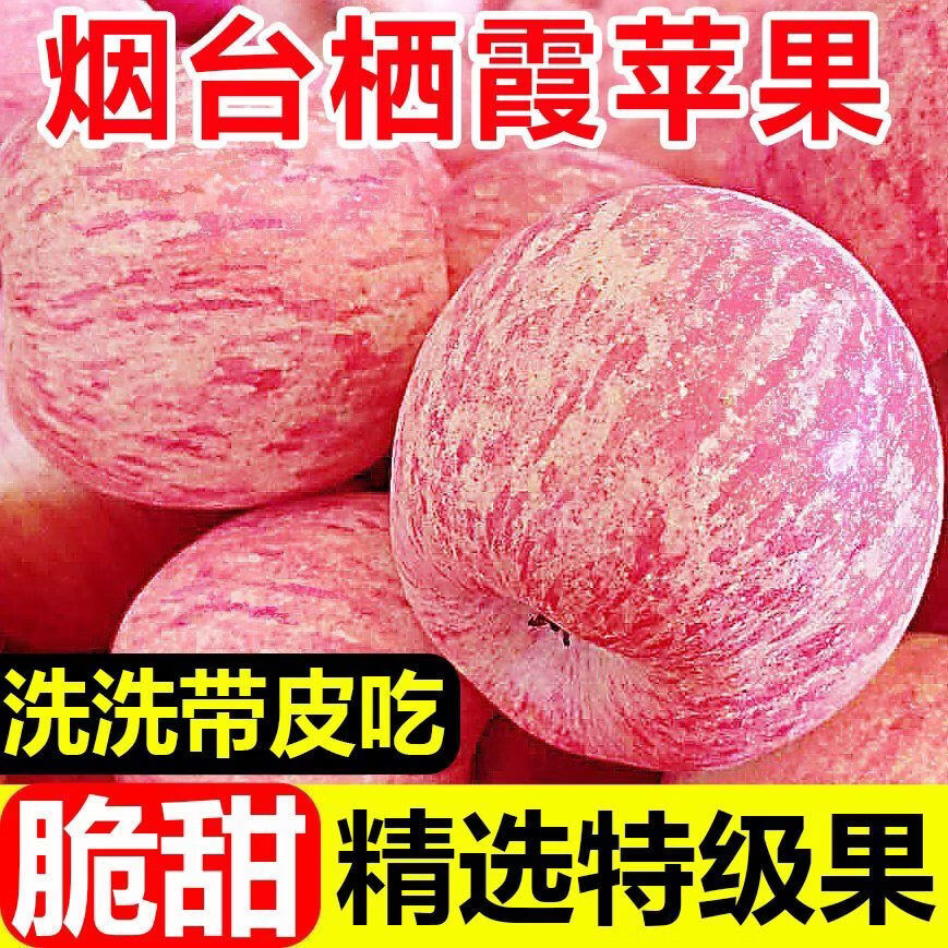 正宗山东烟台红富士苹果脆甜栖霞新鲜苹果水果生鲜批发一整箱 5斤大果7-9个（80-85mm）