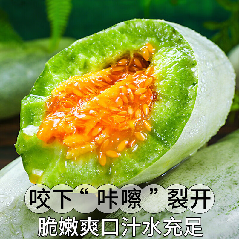 机林有果【顺丰】山东羊角蜜甜瓜新鲜水果大果脆香瓜当季时令现摘现发整箱 3斤中果【清甜如蜜】顺丰，净重2.8斤+