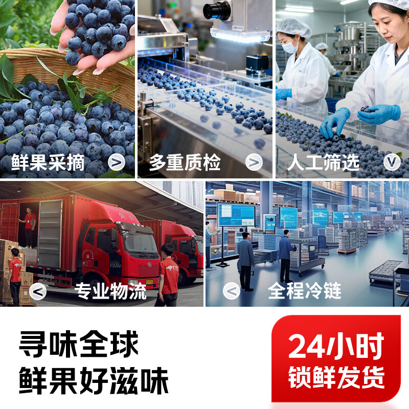 田拾记云南蓝莓【JD-多地次日达】巨无霸花香蓝莓超大果新鲜水果送礼 【单果15mm+】甄选大果·爆汁甜 4盒·单人畅吃】100g-125g/盒-越多越划算