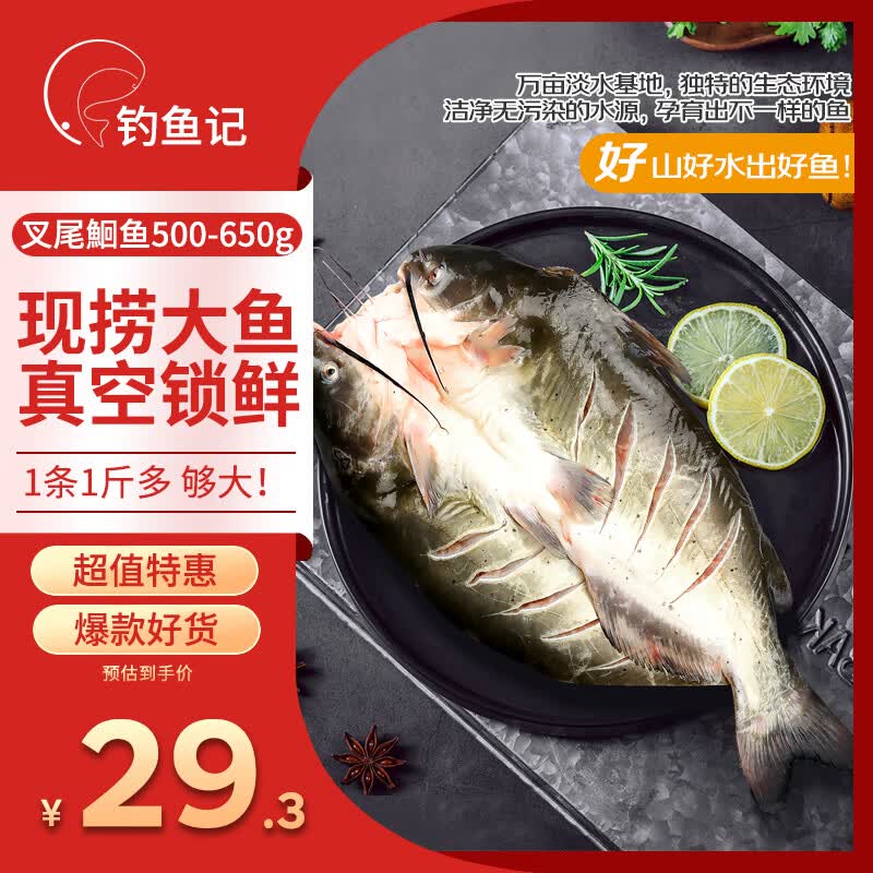 钓鱼记斑点叉尾鮰鱼1斤-1.3斤 二去净重 冷冻 烤鱼红烧烤生鲜 鱼类海鲜