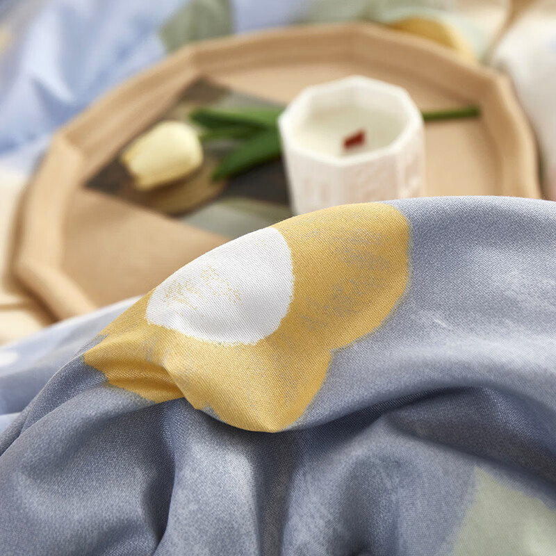 唐纳家纺简约亲肤棉四件套 柔软透气裸睡家用宿舍双人床品可机洗 亲肤棉四件套-春暖花开 床单款 (被套200*230cm)