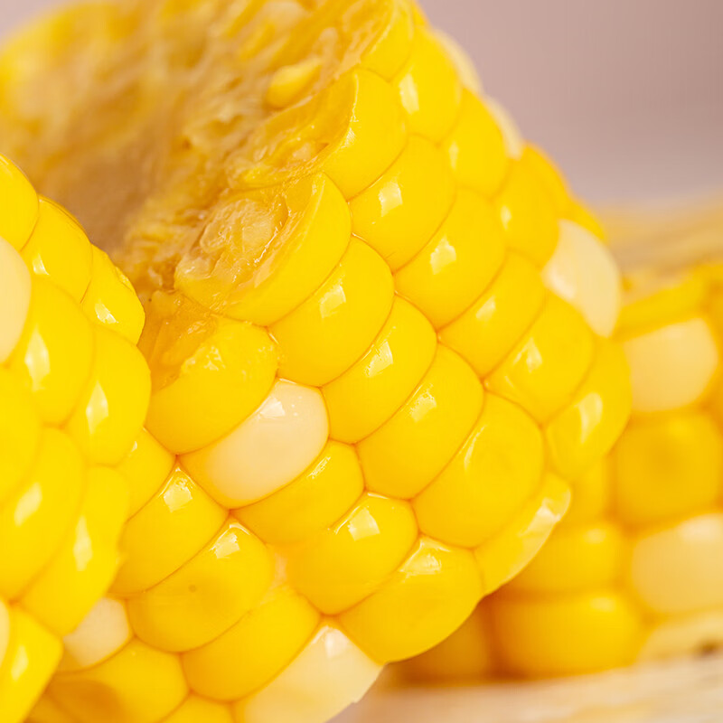 彩云之南西双版纳甜玉米段健康低脂代餐糯玉米真空包装 西双版纳甜玉米段1公斤/袋