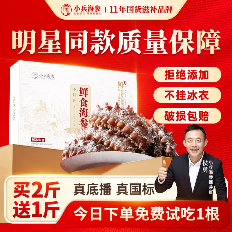 小兵海参 【开春头参】侯勇推荐鲜食海参辽刺参不挂冰免泡发开袋即食 【1斤体验装】单斤直降100元