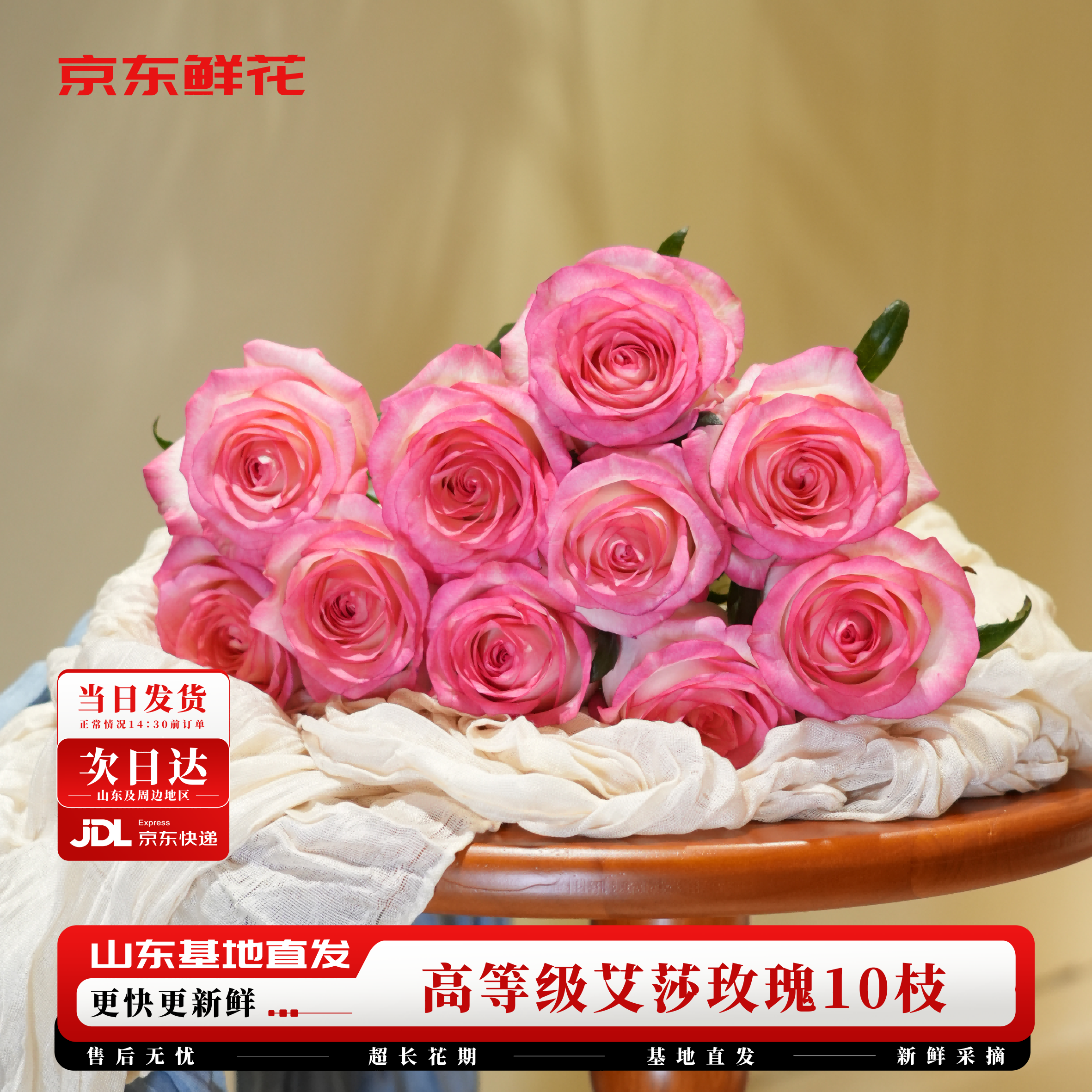 京东鲜花玫瑰花【艾莎】10枝无土栽培枝长50-55cm礼品花山东基地源头直发