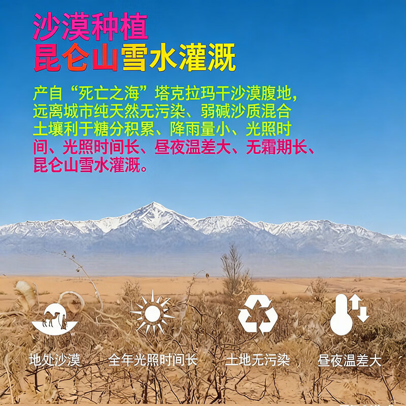 亚通古孜新疆和田大枣 一级灯笼蜜枣免洗红枣 坚果孕妇补气血零食红枣礼盒 灯笼蜜枣一级果260g*2袋