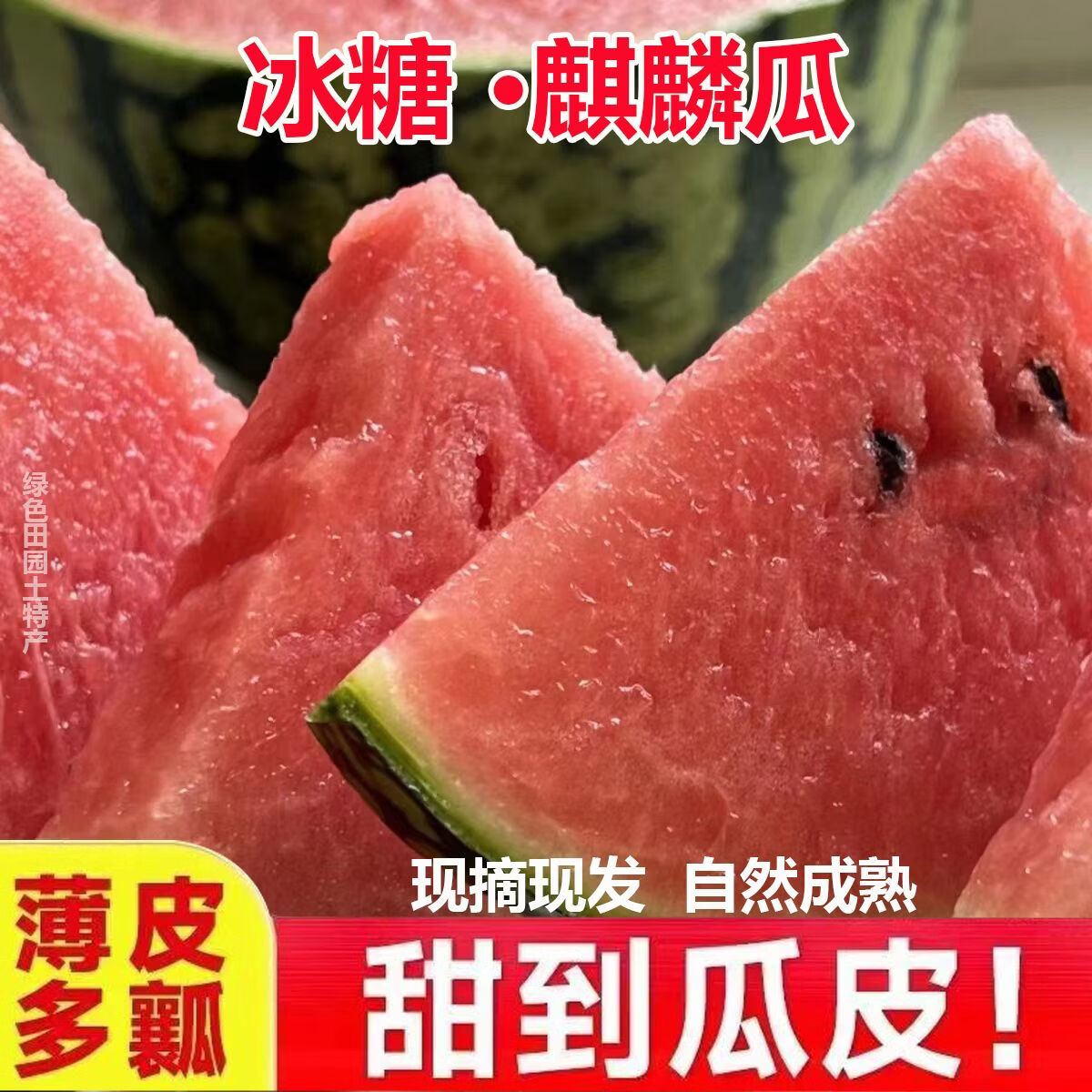 香当阳光【冰糖正宗麒麟】云南西瓜脆甜瓜现摘薄皮美都新鲜水果泡沫箱发货 【实惠超值】4-5斤【一个瓜】