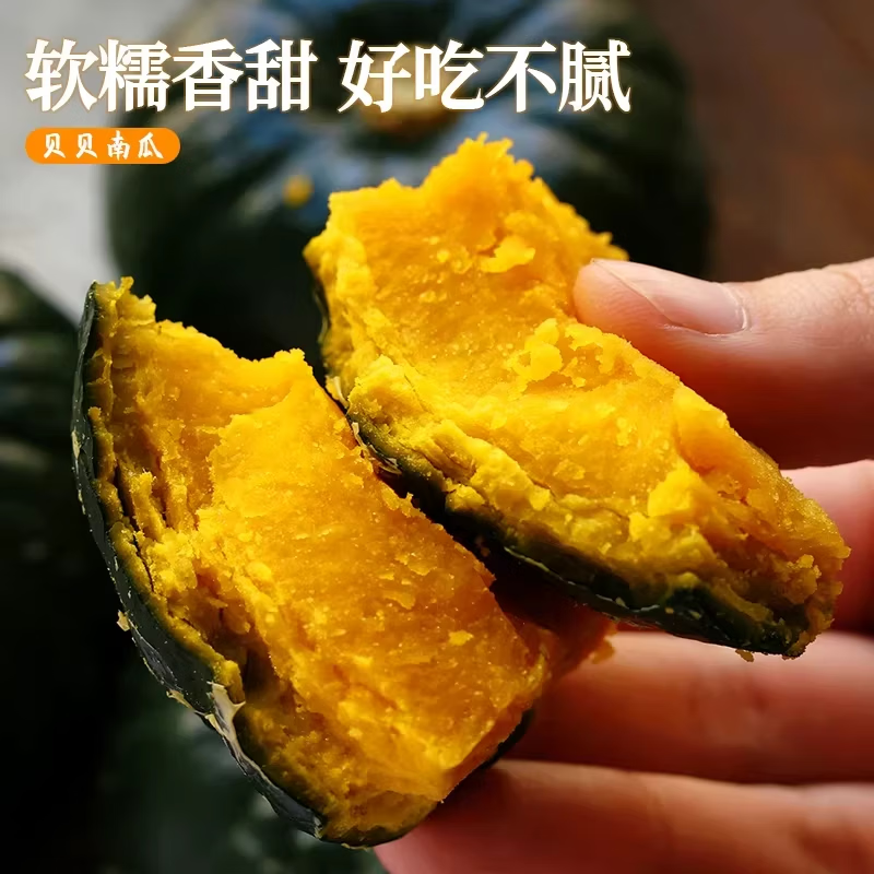 庾丰 源头产地直发 当季现摘 新鲜水果南瓜 贝贝板栗南瓜 5斤装(净果4.5斤)单果350g-500g+