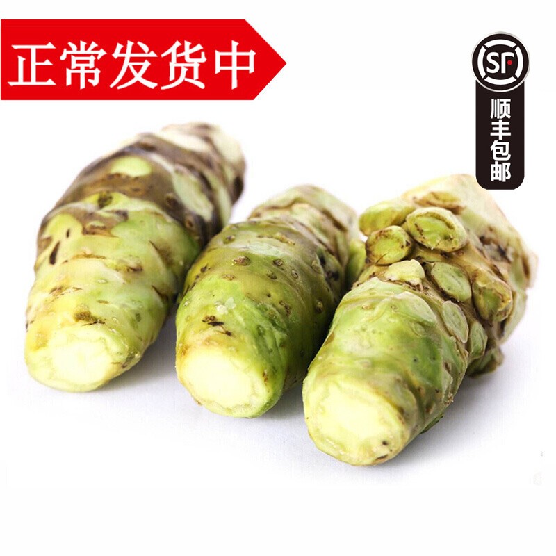 zxc山葵根新鲜 辣根芥末 云南鲜芥末寿司芥末 500g