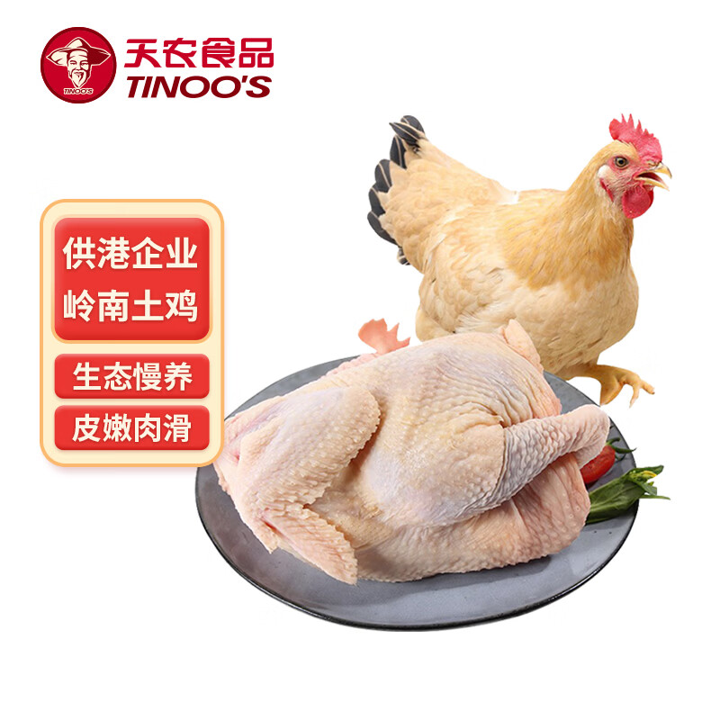 天农清远岭南童子鸡 1.2斤 散养土鸡走地鸡小嫩鸡整鸡 冷冻 烤鸡清蒸