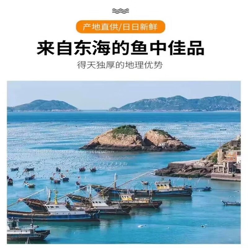 源外园  东海钓带鱼 新鲜船冻特级大钓带鱼整箱大号整条生鲜 鱼类带鱼 3斤无冰带鱼【新鲜饱满】 【4-6两/条】精选黑眼带鱼