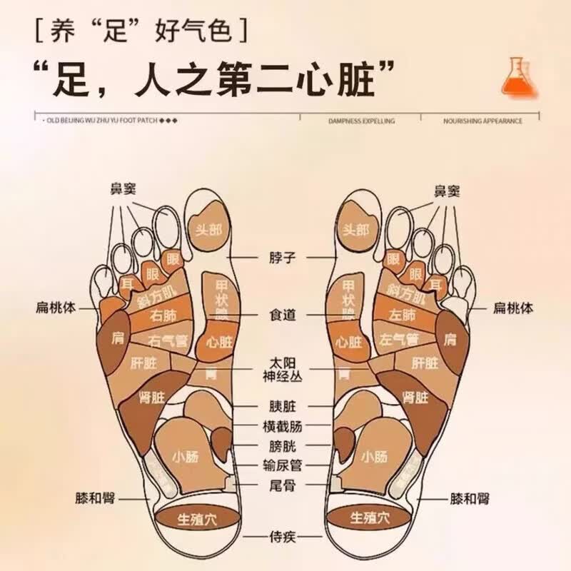 XOERMIOY元气茯苓八珍足贴祛湿气改善睡眠缓解疲劳足部护理暖足贴 足贴30贴 ×2盒
