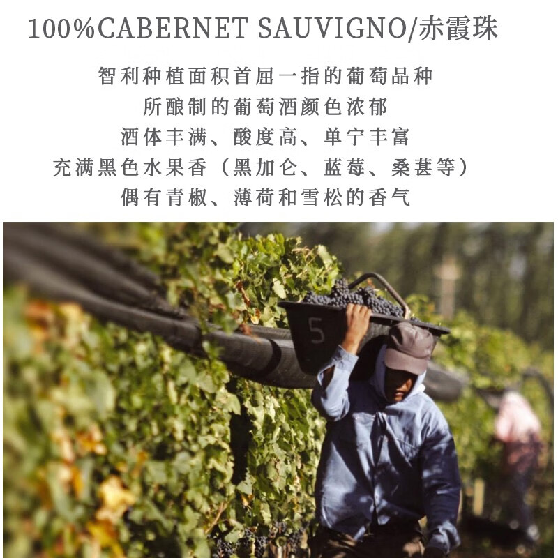 天帕(TENPA)智利中央山谷原瓶进口红酒 天帕赤霞珠干红葡萄酒红酒13.5度750ml 6支整箱装 13.5度