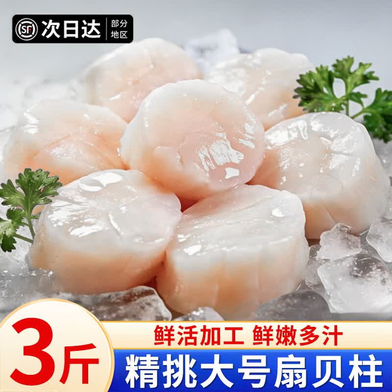 百库扇贝柱大号 瑶柱海鲜玉带烧烤火锅食材 大号扇贝柱 3斤(净重)  （40/60）