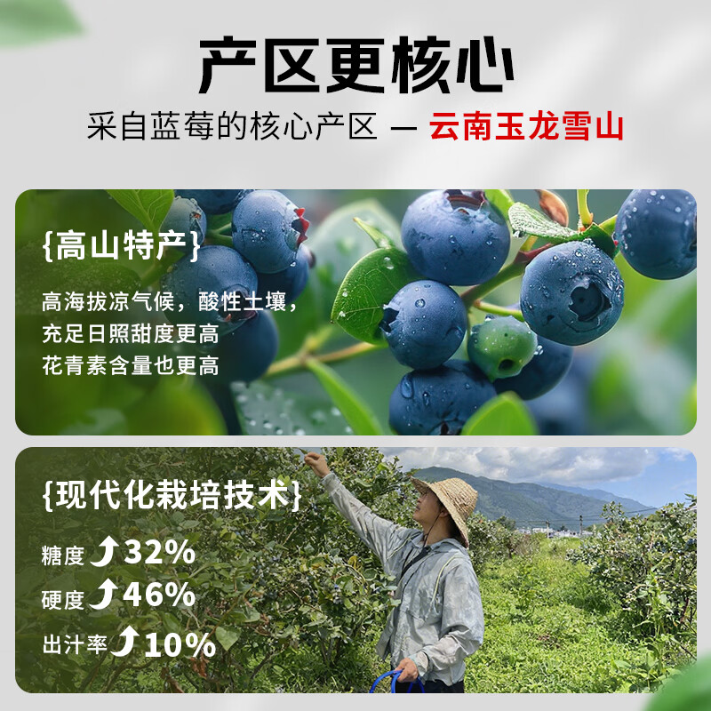 田拾记云南蓝莓【JD-多地次日达】巨无霸花香蓝莓超大果新鲜水果送礼 【单果15mm+】甄选大果·爆汁甜 4盒·单人畅吃】100g-125g/盒-越多越划算