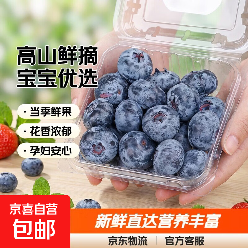 新鲜云南高山现摘蓝莓鲜果当季25花香孕妇宝宝辅食新鲜水果 中果单果12mm+ 家庭4盒装（100g-125g）/盒
