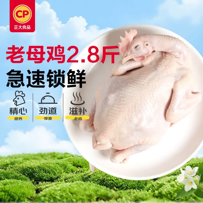 正大食品（CP）老母鸡净重2.8斤  饲养500天老母鸡全鸡