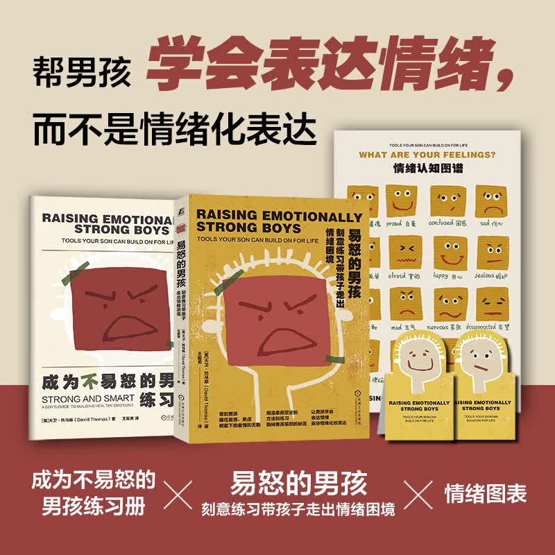 易怒的男孩 刻意练习带孩子走出情绪困境 大卫 托马斯 儿童情绪管理 家教育儿方法书籍