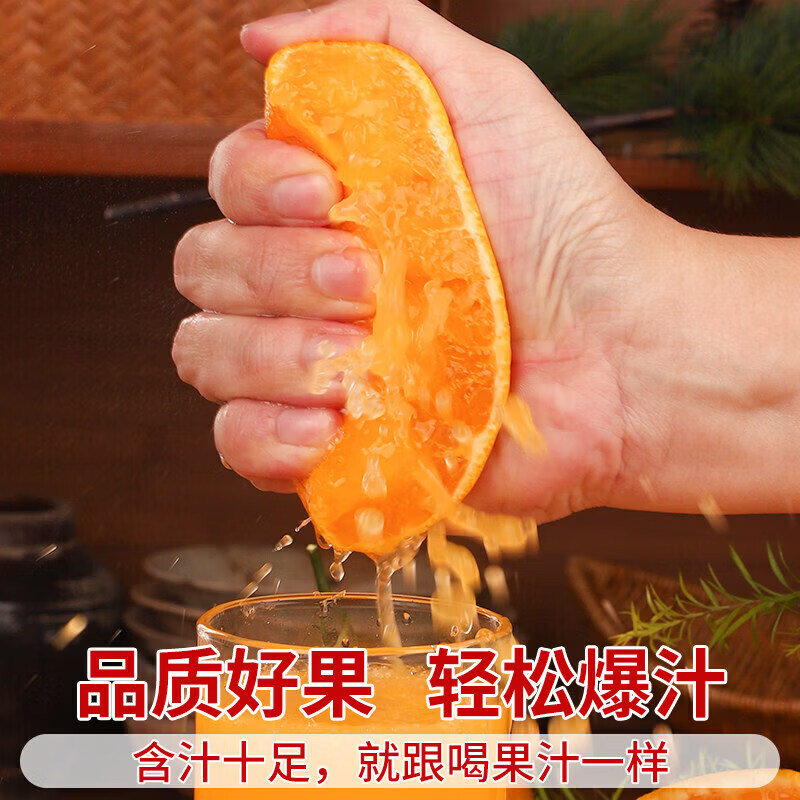 果食鲜丰四川不知火丑橘柑橘丑柑丑桔子新鲜水果整箱现摘现发当季时令水果 净重4.5-5斤精品果【70-75mm】