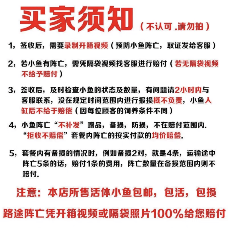 君吻巨骨舌鱼鱼苗红尾爆花大型热带鱼猛鱼活体活物淡水鱼淡水 黑火箭28-30公分 1条【与巨骨齐名的猛鱼】