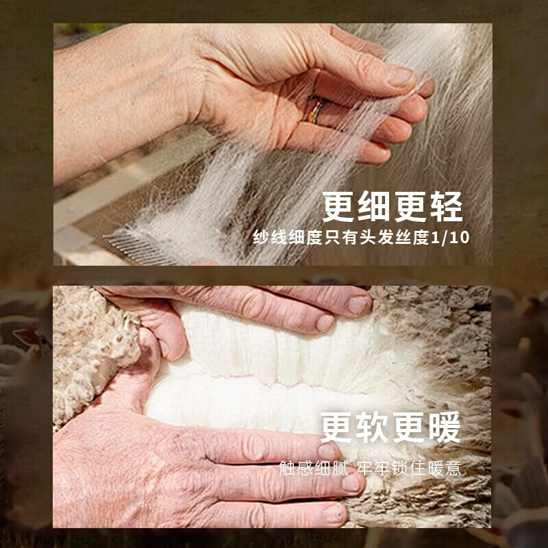 【鹦鹉梨严选】16.5微米超细美丽诺羊毛t恤女短袖100羊毛吸湿排汗 暖云白 M