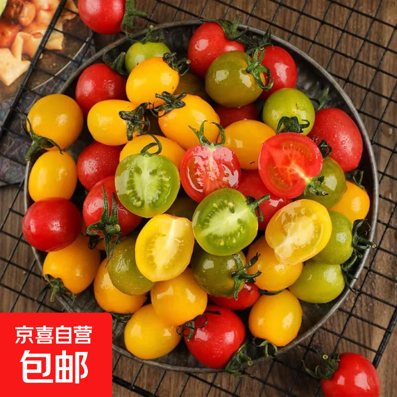 山东三色小番茄新鲜现摘现发彩色小柿子清甜多汁圣女果混合装水果 1斤 多彩小番茄三色随心拼